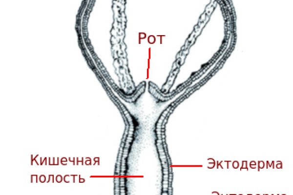 Кракен ссылка оригинал