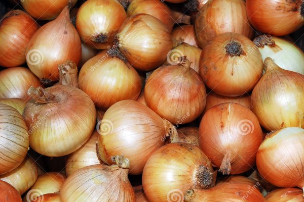 Рабочие ссылки kraken onion
