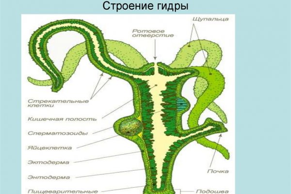 Переход на кракен